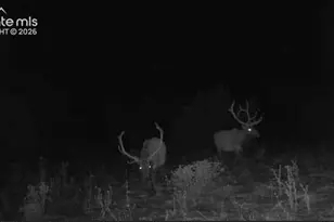 28790 County Road 63 1, Aguilar, CO 81020 - Photo 45