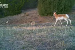 28790 County Road 63 1, Aguilar, CO 81020 - Photo 19