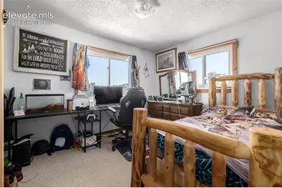201 Lake Drive, Florissant, CO 80816 - Photo 13