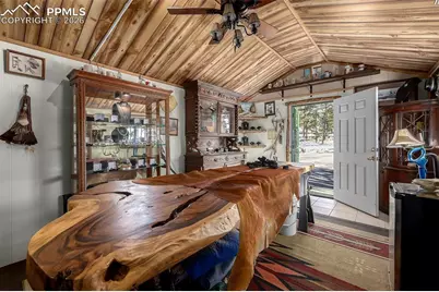 201 Lake Drive, Florissant, CO 80816 - Photo 19