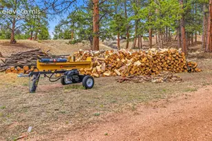 201 Lake Dr, Florissant, CO 80816 - Photo 45