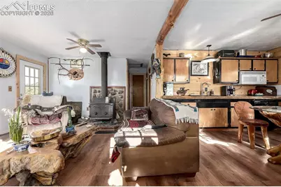 201 Lake Drive, Florissant, CO 80816 - Photo 5