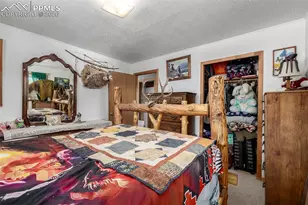 201 Lake Dr, Florissant, CO 80816 - Photo 13