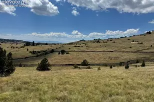 Unknown Rd, Cripple Creek, CO 80813 - Photo 1
