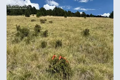 Unknown Road, Cripple Creek, CO 80813 - Photo 3