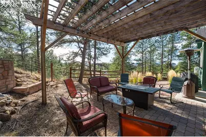 517 Crystal Peak Road, Florissant, CO 80816 - Photo 23