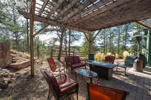 517 Crystal Peak Rd, Florissant, CO 80816 - Photo 23