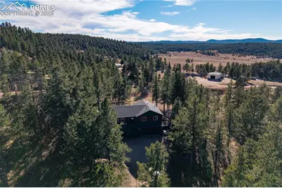 517 Crystal Peak Road, Florissant, CO 80816 - Photo 29