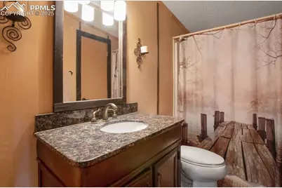 338 Doublet Lane, Divide, CO 80814 - Photo 29