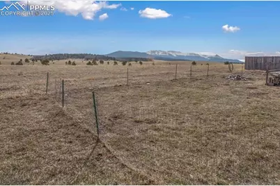 338 Doublet Lane, Divide, CO 80814 - Photo 3