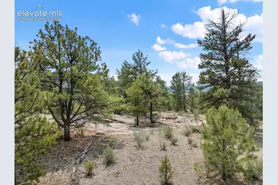 1137 County Road 111, Florissant, CO 80816 - Photo 9