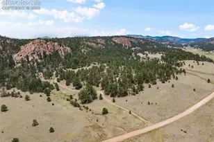1137 County Rd 111, Florissant, CO 80816 - Photo 1