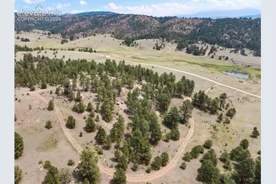 1137 County Road 111, Florissant, CO 80816 - Photo 13