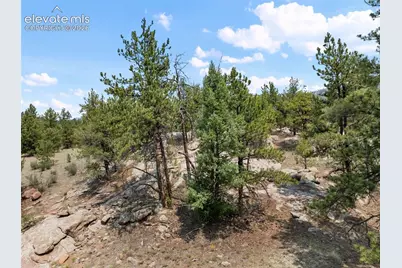 1137 County Road 111, Florissant, CO 80816 - Photo 29