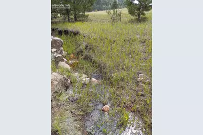 1137 County Road 111, Florissant, CO 80816 - Photo 41