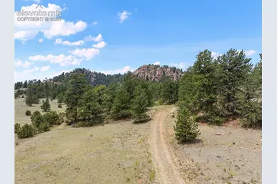 1137 County Road 111, Florissant, CO 80816 - Photo 19