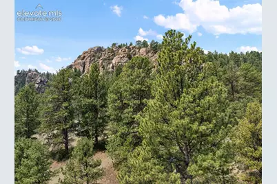 1137 County Road 111, Florissant, CO 80816 - Photo 23