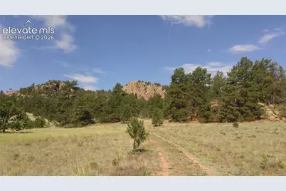1137 County Road 111, Florissant, CO 80816 - Photo 15