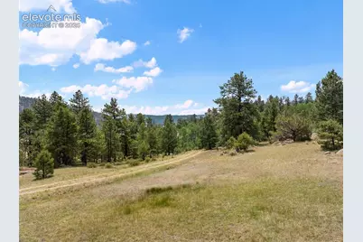 1137 County Road 111, Florissant, CO 80816 - Photo 33