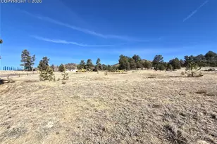 38340 US Hwy 24, Lake George, CO 80827 - Photo 9