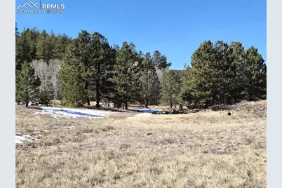 38340 US Highway 24, Lake George, CO 80827 - Photo 3