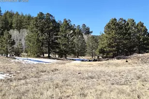 38340 US Hwy 24, Lake George, CO 80827 - Photo 3