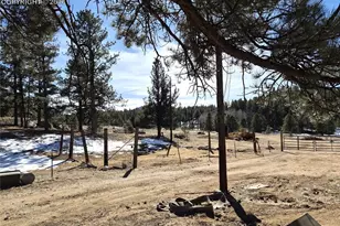 38340 US Hwy 24, Lake George, CO 80827 - Photo 17