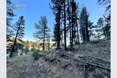 233 Rabbil Creek Drive, Florissant, CO 80816 - Photo 5