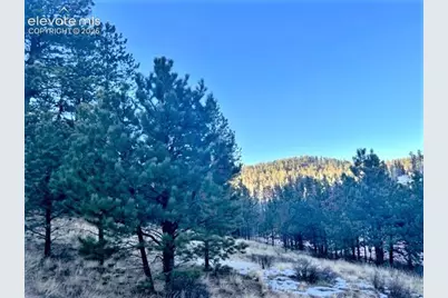 233 Rabbil Creek Drive, Florissant, CO 80816 - Photo 3