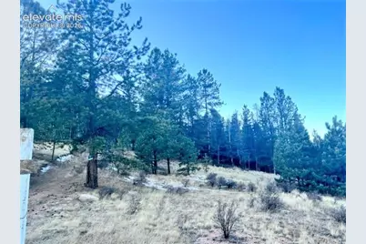 233 Rabbil Creek Drive, Florissant, CO 80816 - Photo 1