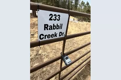 233 Rabbil Creek Drive, Florissant, CO 80816 - Photo 21