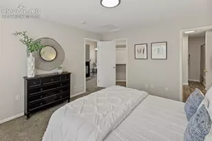 718 Cima Vista Point, Colorado Springs, CO 80916 - Photo 25