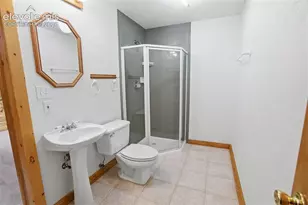 355 Maroon Lake Cir, Divide, CO 80814 - Photo 41