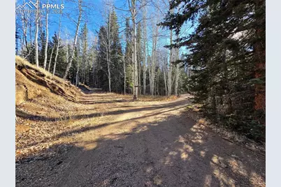 1434 Blue Mesa Drive, Divide, CO 80814 - Photo 21