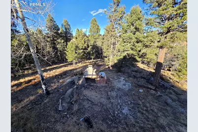 1434 Blue Mesa Drive, Divide, CO 80814 - Photo 7