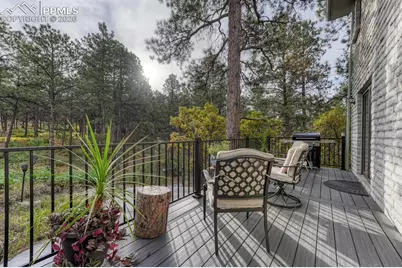 670 E Baptist Road, Colorado Springs, CO 80921 - Photo 19