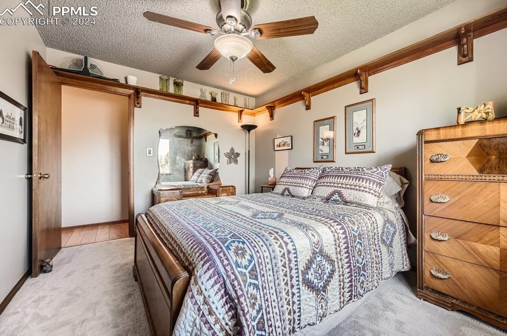 8430 Candleflower Cir, Colorado Springs CO  80920-5761 exterior