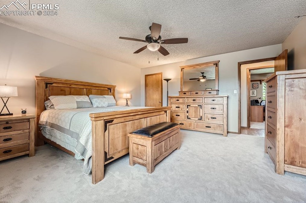 8430 Candleflower Cir, Colorado Springs CO  80920-5761 exterior