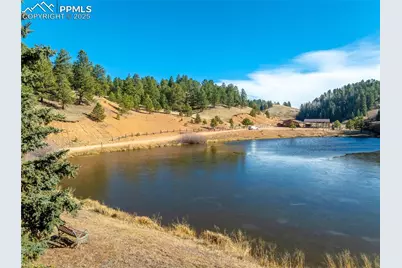 70 Cheesman Lake Circle, Divide, CO 80814 - Photo 31