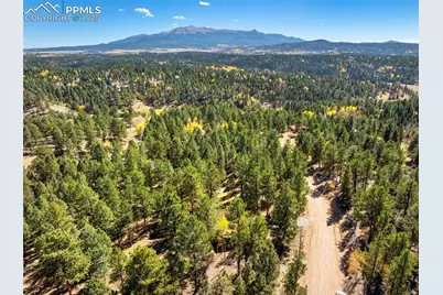 70 Cheesman Lake Circle, Divide, CO 80814 - Photo 25