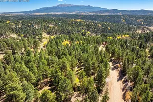 70 Cheesman Lake Cir, Divide, CO 80814 - Photo 25