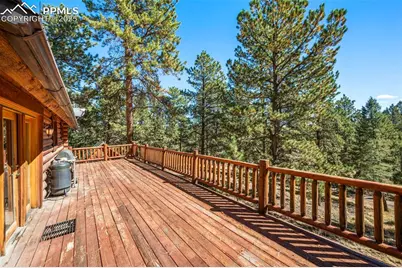 70 Cheesman Lake Circle, Divide, CO 80814 - Photo 23