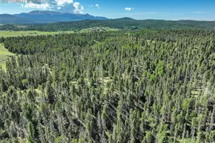 4797 Co Rd 42, Divide, CO 80814 - Photo 41