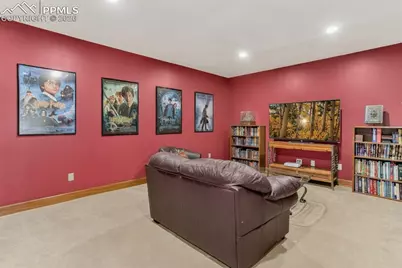 4797 County Road 42, Divide, CO 80814 - Photo 25