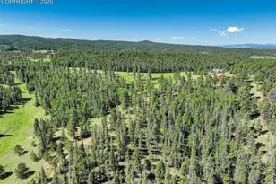 4797 Co Rd 42, Divide, CO 80814 - Photo 41