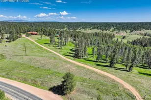 4797 Co Rd 42, Divide, CO 80814 - Photo 7