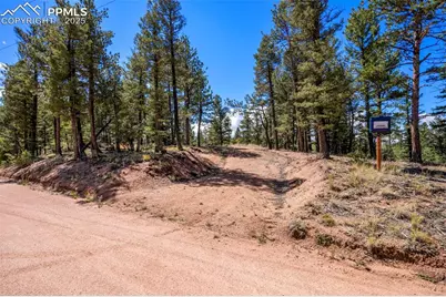 210 Donzi Trail, Florissant, CO 80816 - Photo 7