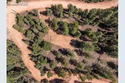 210 Donzi Trail, Florissant, CO 80816 - Photo 3