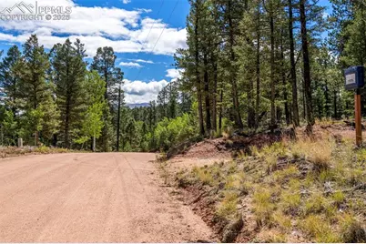 210 Donzi Trail, Florissant, CO 80816 - Photo 9