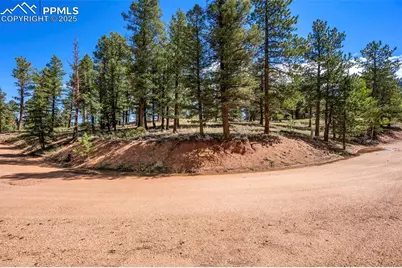 210 Donzi Trail, Florissant, CO 80816 - Photo 19